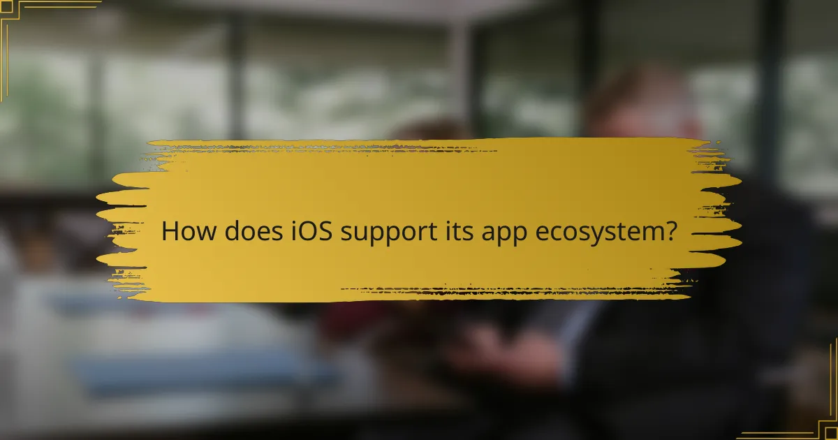 How does iOS support its app ecosystem?